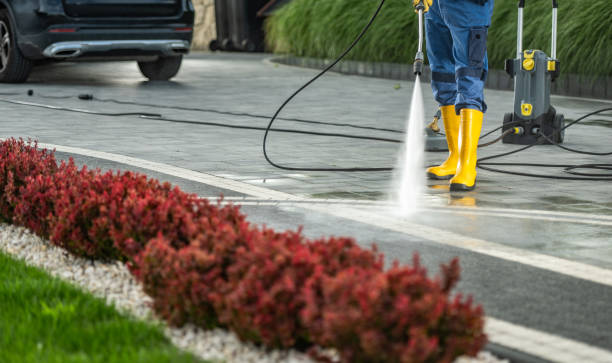 Best Roof Pressure Washing  in Brockton, MA